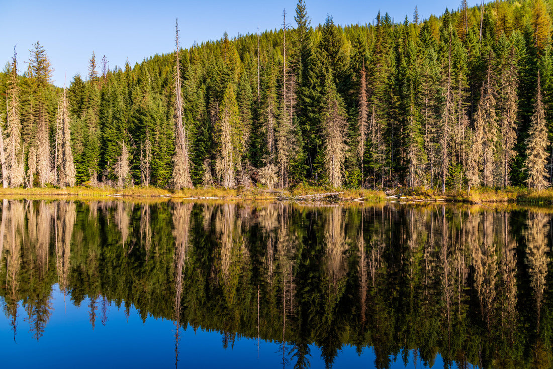 Noah Jigsaw Puzzle Huff Lake In Pend Oreille County, Washington State 2000 pieces