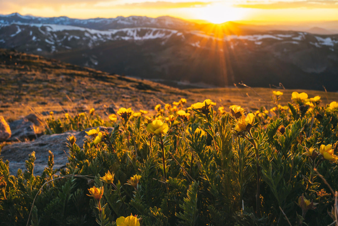 Sunset in the James Peak Wilderness, Colorado, USA 2000pc Puzzle