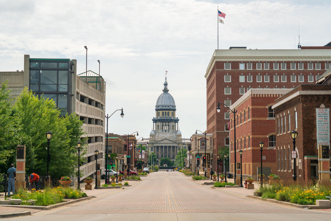 Street View of the Illinois State Capitol Building 2000pc Puzzle