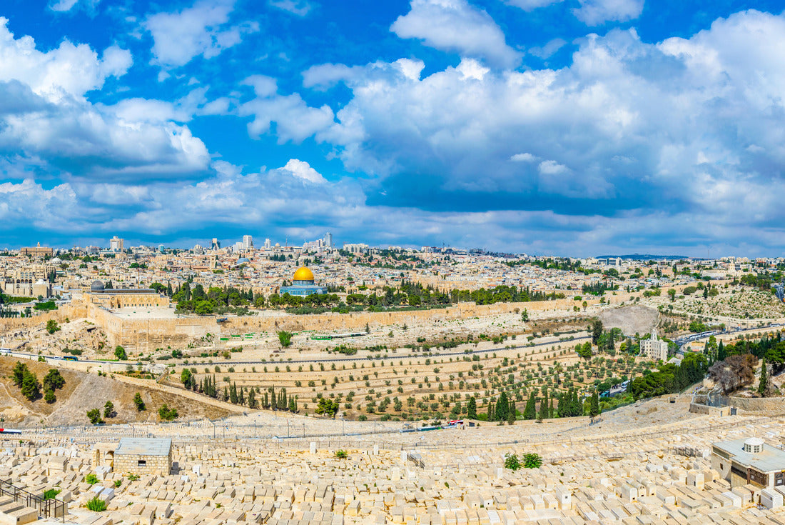Noah Jigsaw Puzzle Jerusalem viewed from the mount of olives, Israel 2000 pieces