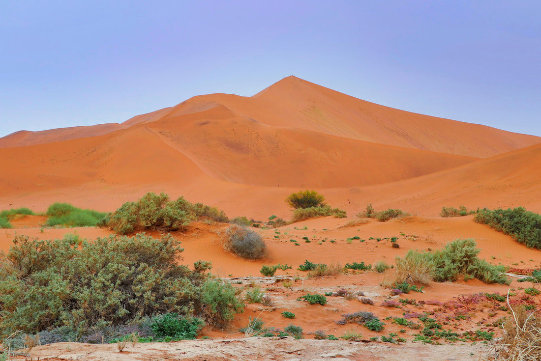 Noah Jigsaw Puzzle Sossusvlei (Namib-Naukluft Park) - Namibia Africa 2000 pieces