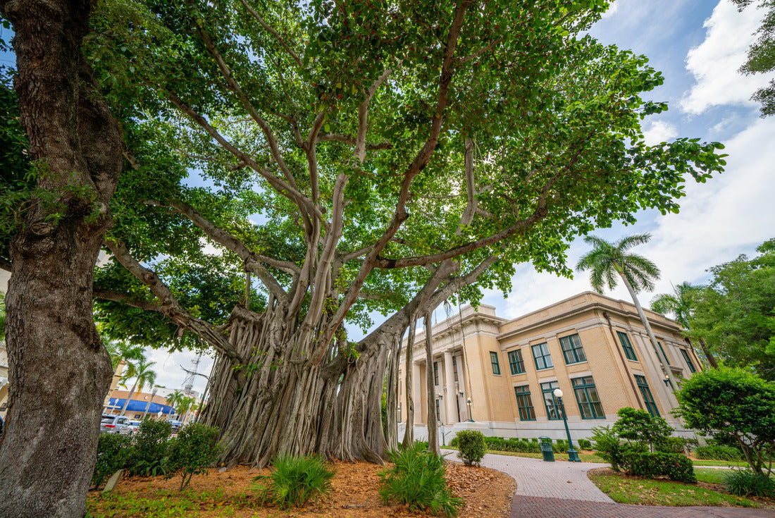 Noah Jigsaw Puzzle Lee County Courthouse Downtown Fort Myers Florida 2000 pieces