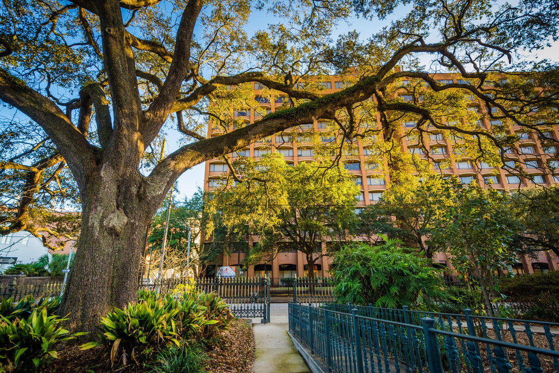 Tree in a garden and building in Mobile, Alabama 2000pc Puzzle