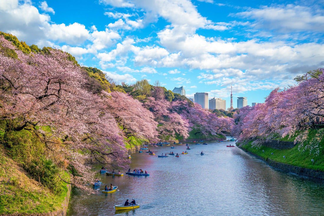cherry blossom at chidori ga fuchi, tokyo, japan 2000pc Puzzle