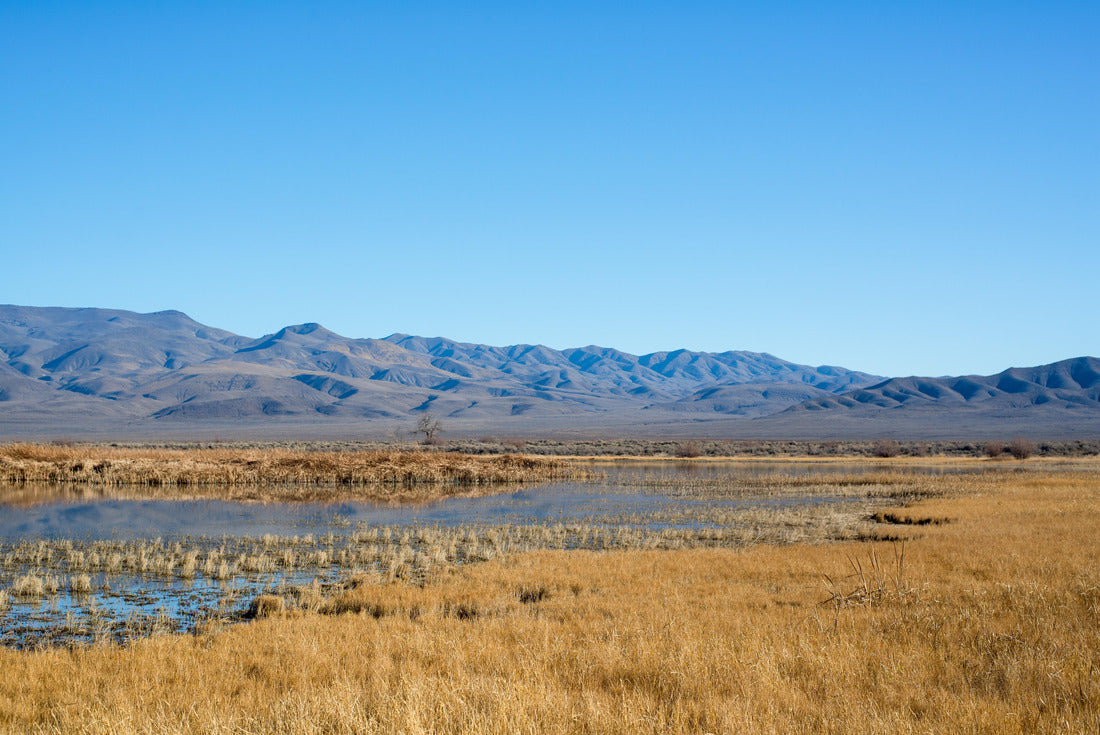 Noah Jigsaw Puzzle Foxtail Lake Stillwater National Wildlife Refuge 2000 pieces