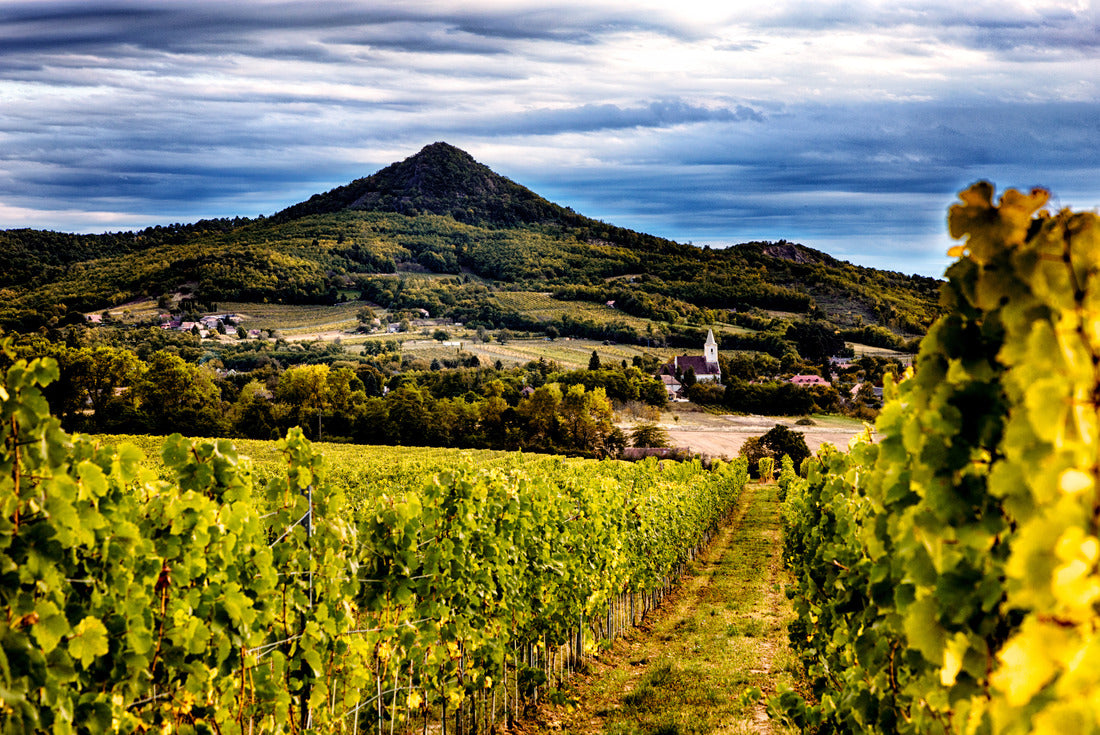 Noah Jigsaw Puzzle Volcanic wine region in Hungary, at Lake Balaton 2000 pieces