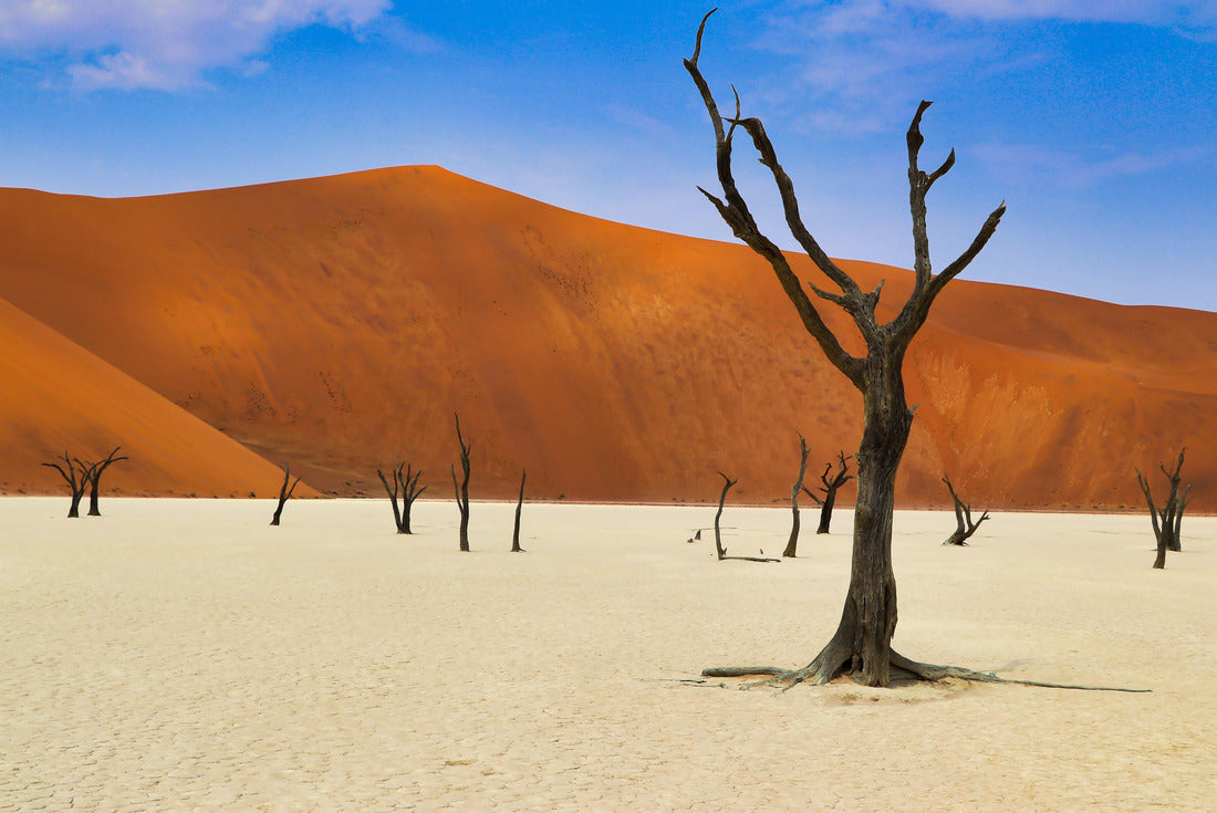 Dead Vlei (Namib-Naukluft Park) - Namibia Africa 2000pc Puzzle
