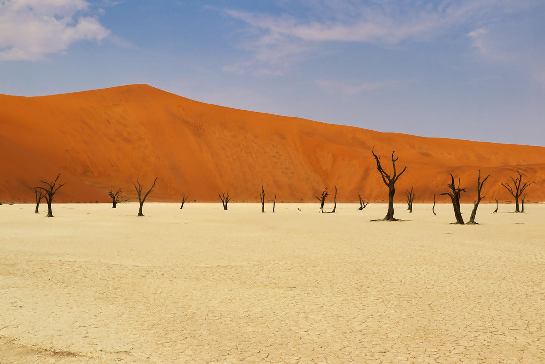 Dead Vlei (Namib-Naukluft Park) - Namibia Africa 2000pc Puzzle