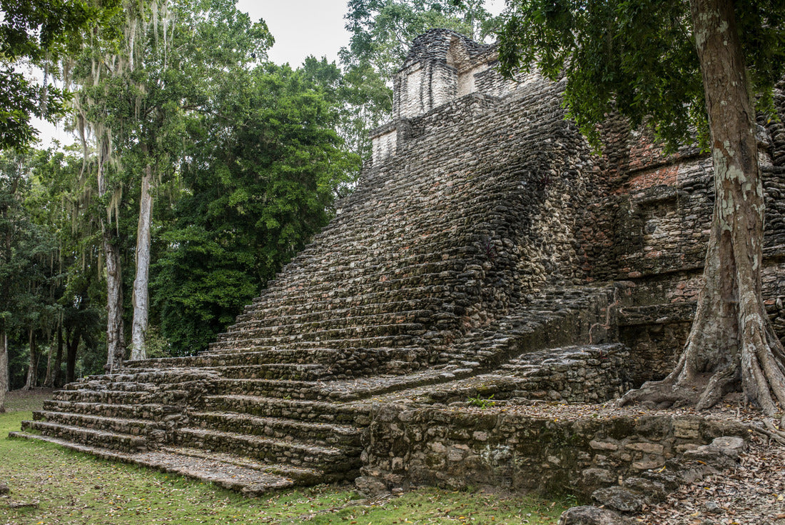Noah Jigsaw Puzzle Ruins of the Mayan temple of Dzibanche in Mexico 2000 pieces