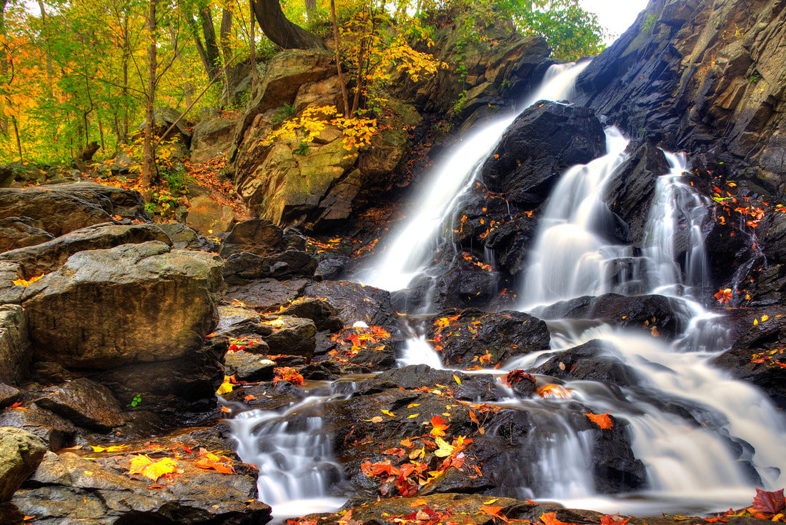 Noah Jigsaw Puzzle Piney Run Falls near Harpers Ferry West Virginia 2000 pieces