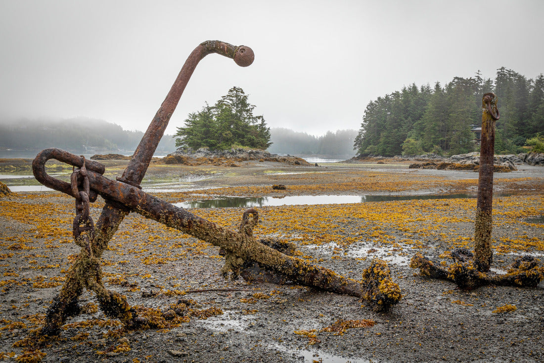 Noah Jigsaw Puzzle USA, Alaska, Sitka Old anchors at ocean low tide 2000 pieces