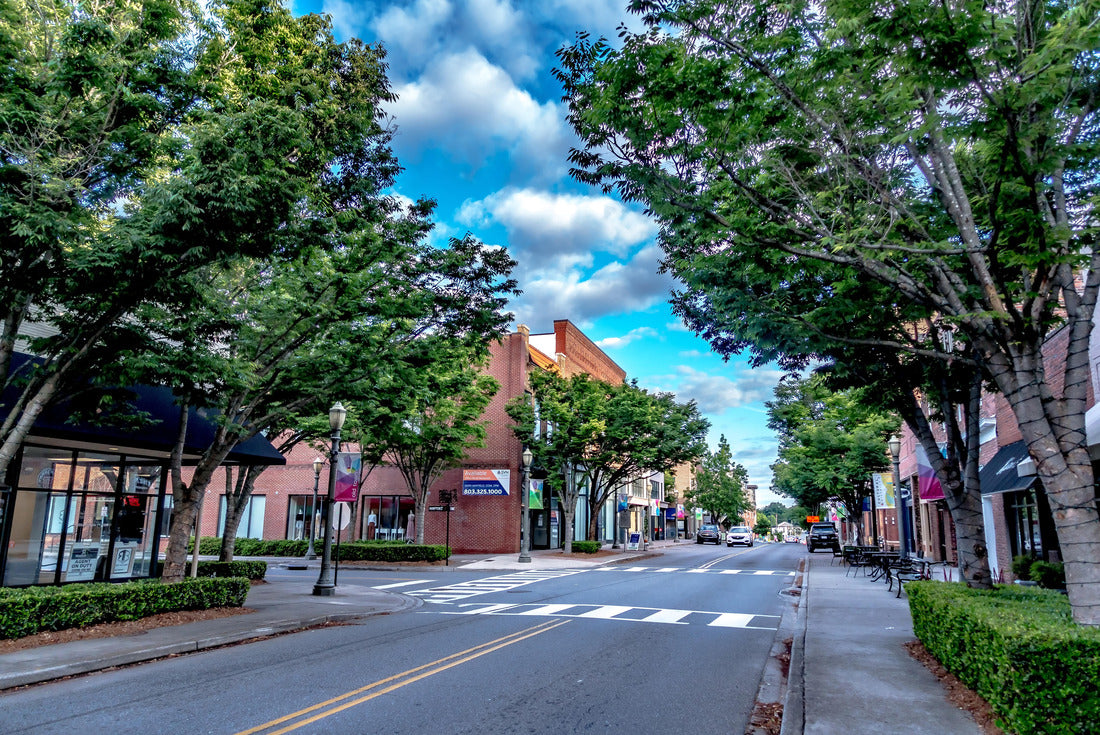 Rock Hill South Carolina downtown in the morning 2000pc Puzzle