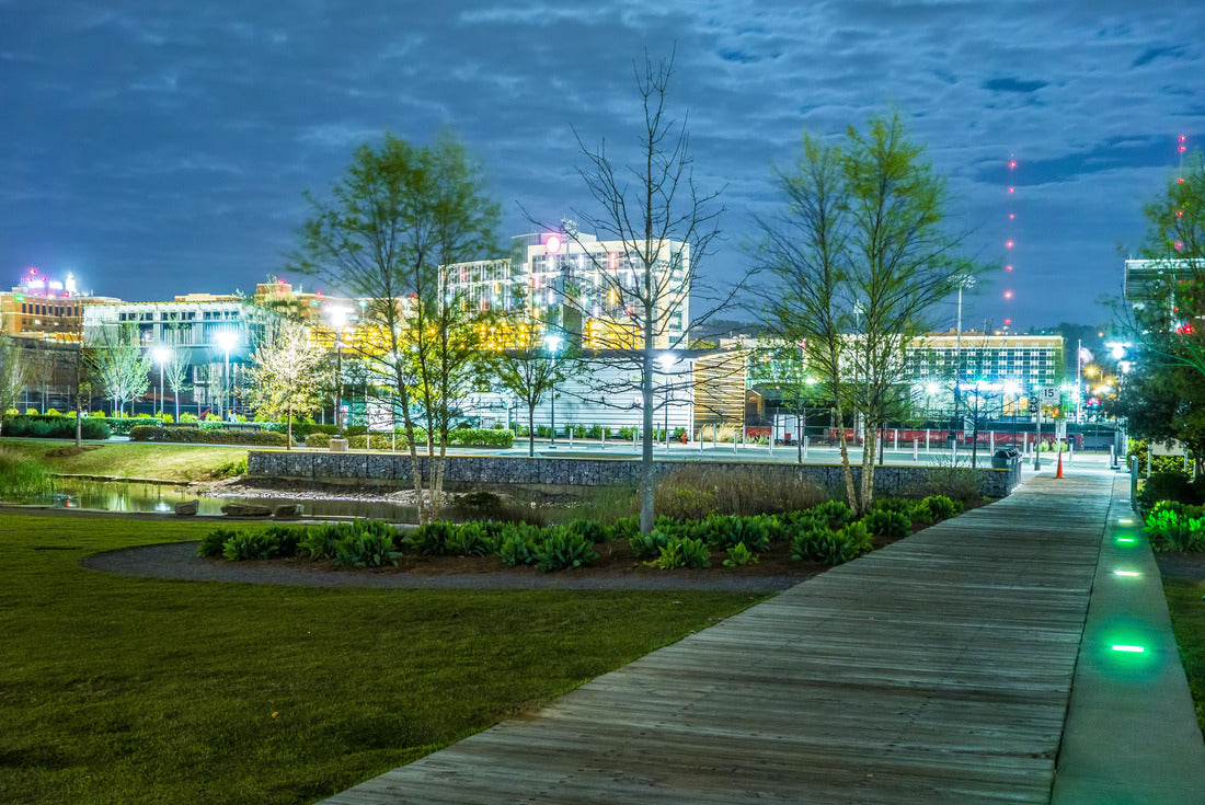 Noah Jigsaw Puzzle Skyline of Birmingham Alabama from Railroad Park 2000 pieces