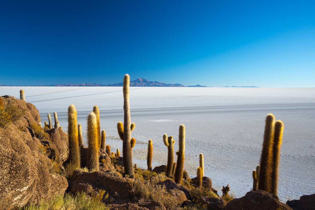 Uyuni Salt Flat on the Bolivian Andes at sunrise 2000pc Puzzle