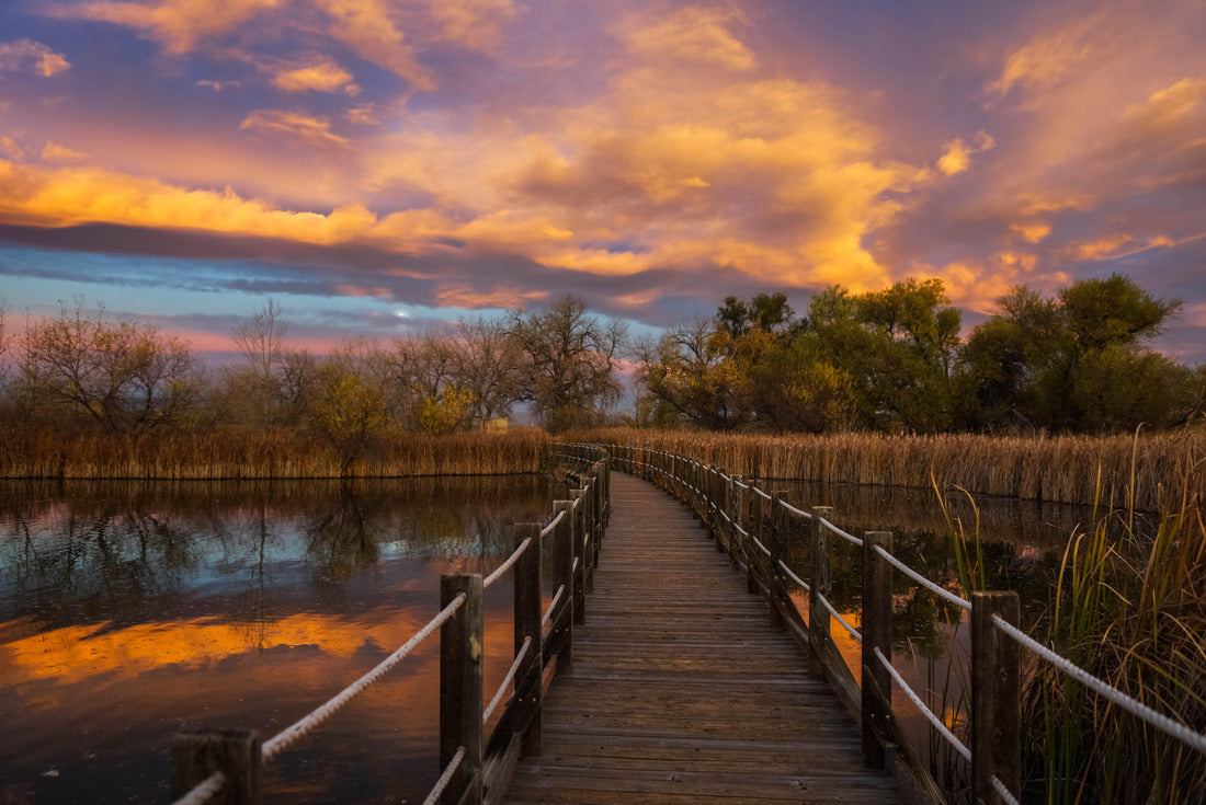 Noah Jigsaw Puzzle Rocky Mountain Arsenal National Wildlife Refuge 2000 pieces