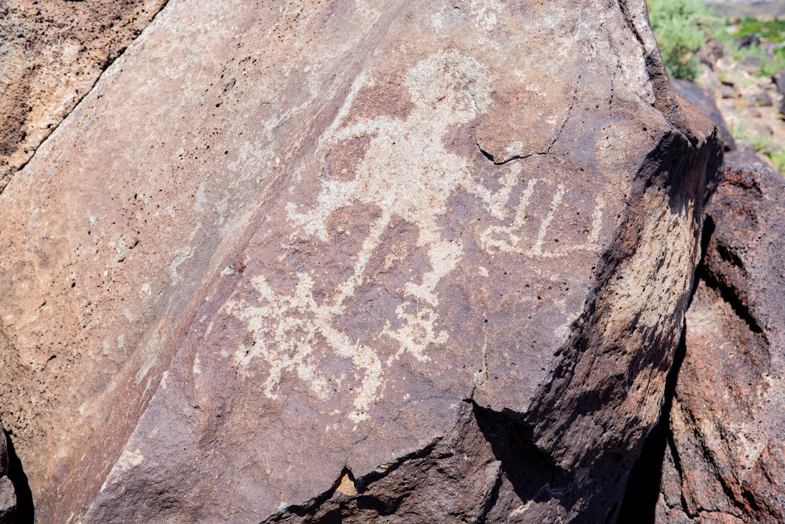 Noah Jigsaw Puzzle Petroglyph National Monument in New Mexico, USA 2000 pieces