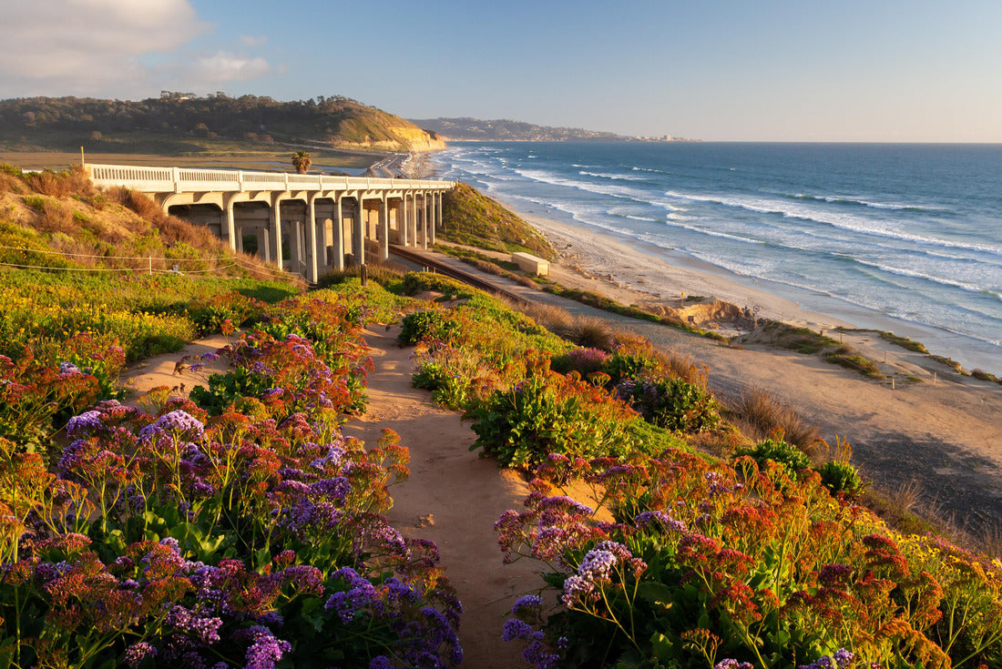 Torrey Pines State Beach, San Diego, California 2000pc Puzzle