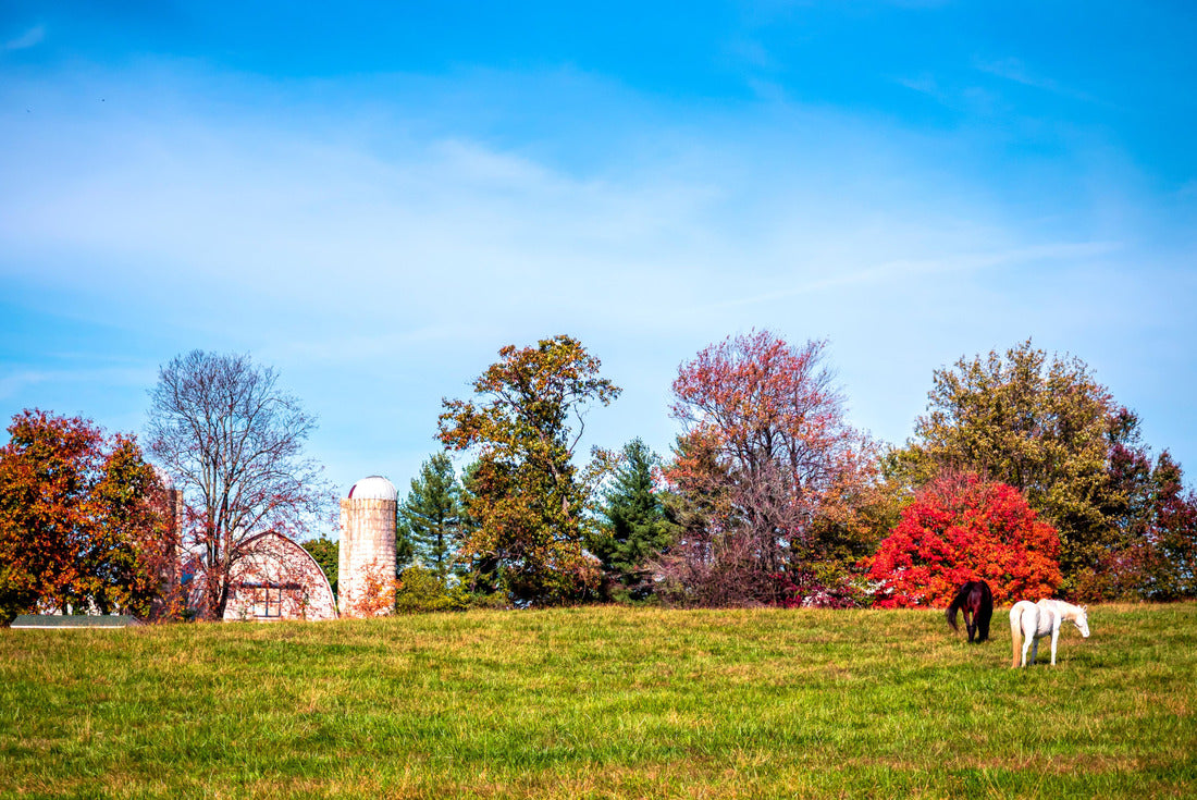 Noah Jigsaw Puzzle Fall in Virginia Countryside Barn, Silo, Horses 2000 pieces