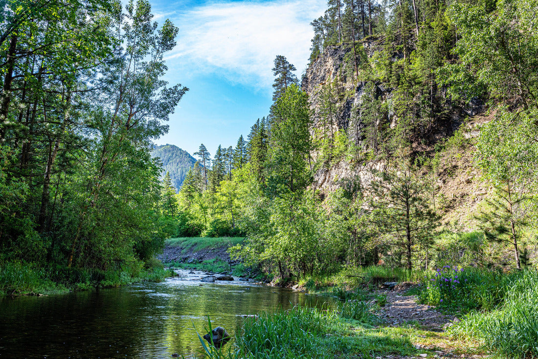 Spearfish Creek in the Black Hills South Dakota 2000pc Puzzle