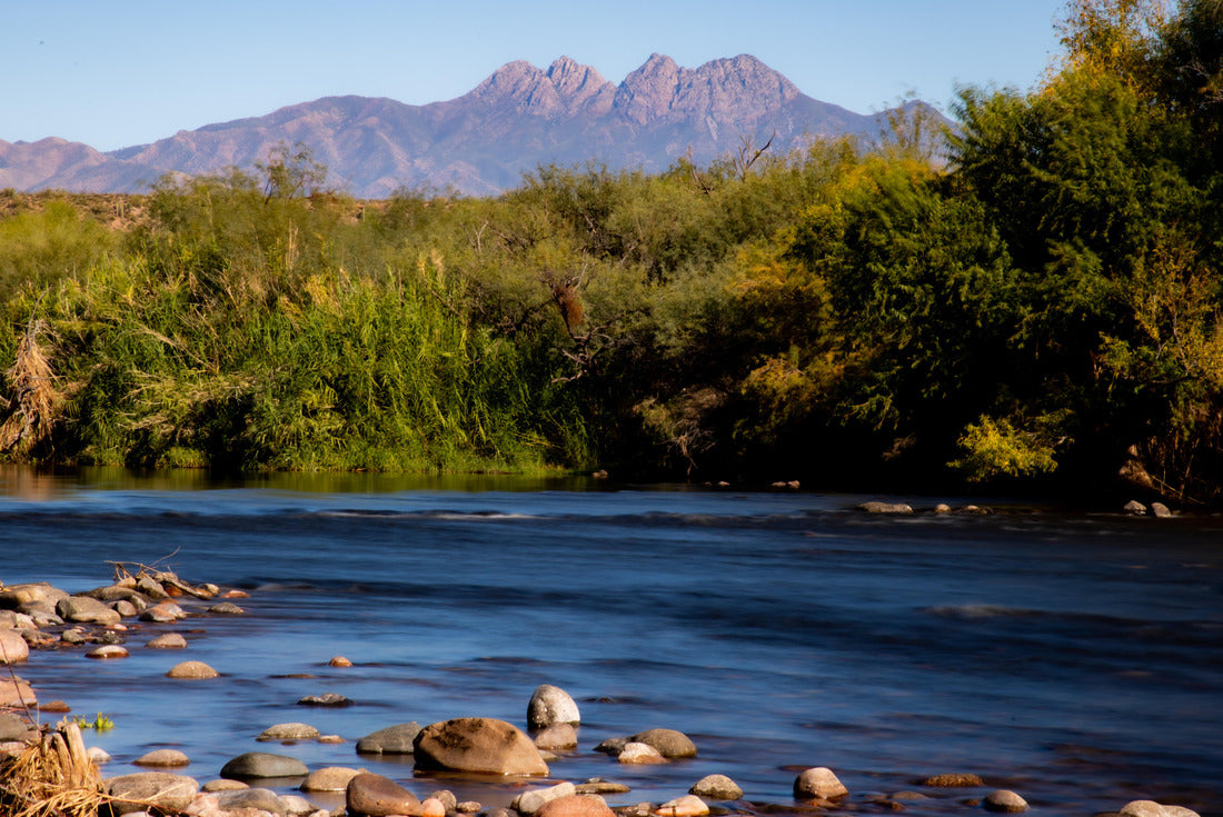 fall colors on the salt river near mesa Arizona 2000pc Puzzle