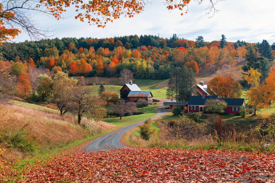 Beautiful Fall colors farm house, New Hampshire 2000pc Puzzle