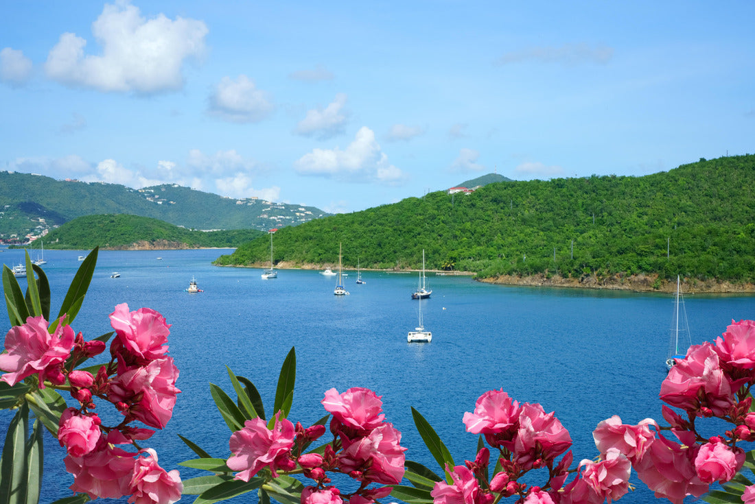 beautiful St. Thomas, US Virgin Islands 2000pc Puzzle