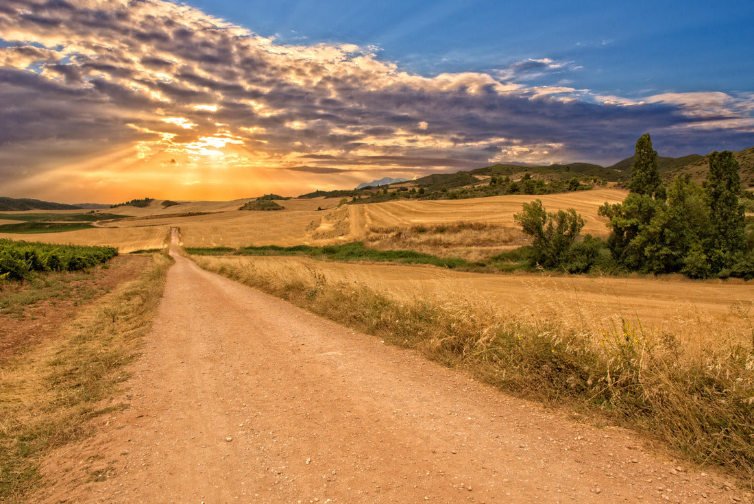 Sunset on the way to Santiago in Navarre 2000pc Puzzle