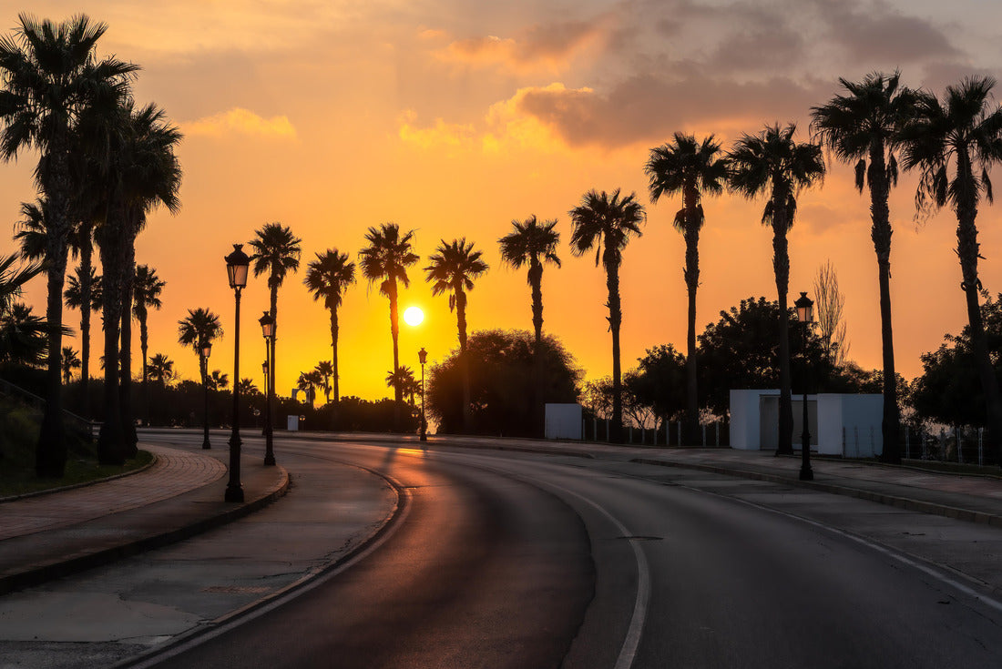 Beautiful sunset on a palm-lined coastal road from Conil de la Frontera in southern Spain 2000pc Puzzle