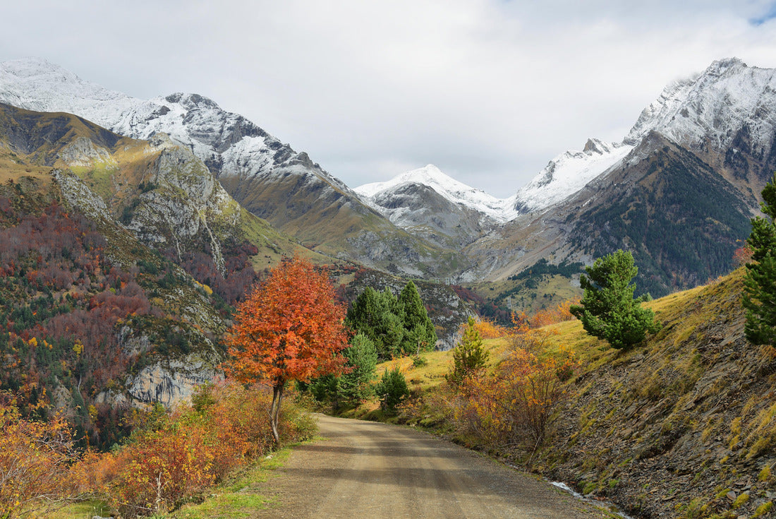 Autumn scene in the valley of Bujaruelo, Huesca province, Spain 2000pc Puzzle