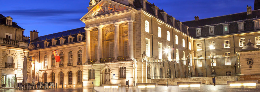 Noah Jigsaw Puzzle Dijon, France Panorama 1000 Pieces