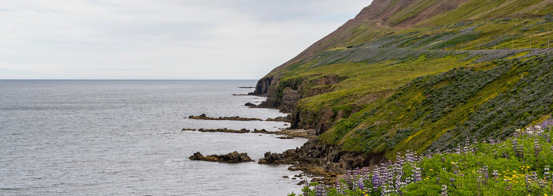 Noah Jigsaw Puzzle St. Severus Church, Boppard, Germany Panorama 1000 Pieces