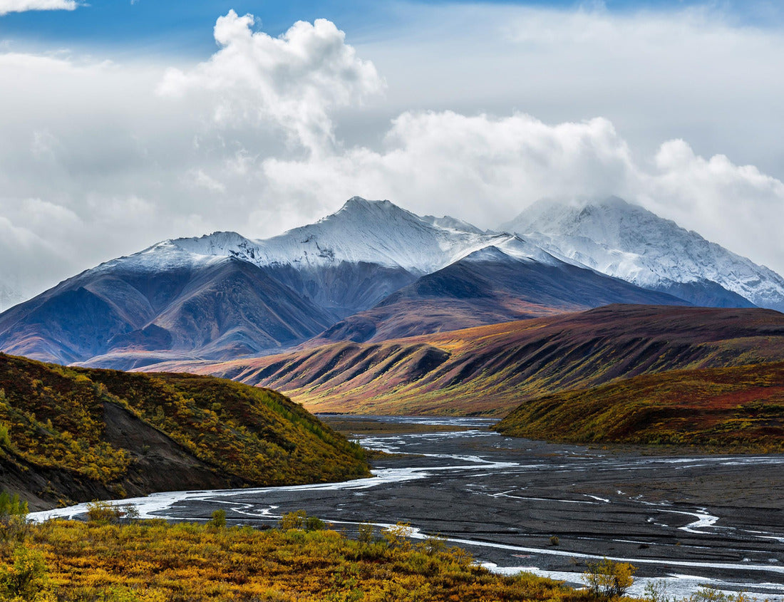 Noah Jigsaw Puzzle The braided channels of Toklat flow through colorful fall foliage in Denali National Park, Alaska 1000 Pieces
