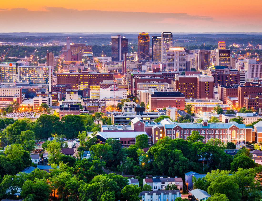 Noah Jigsaw Puzzle Birmingham, Alabama, USA Downtown City Skyline 1000 Pieces
