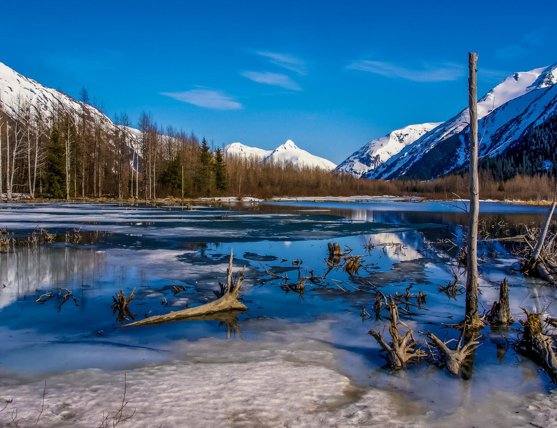 Noah Jigsaw Puzzle Partially frozen lake with mountain range reflected in the Great Alaskan Wilderness. A beautiful landscape of blue sky, trees, rocks, snow, water and ice. Near the Seward highway near Anchorage, Alaska 1000 Pieces