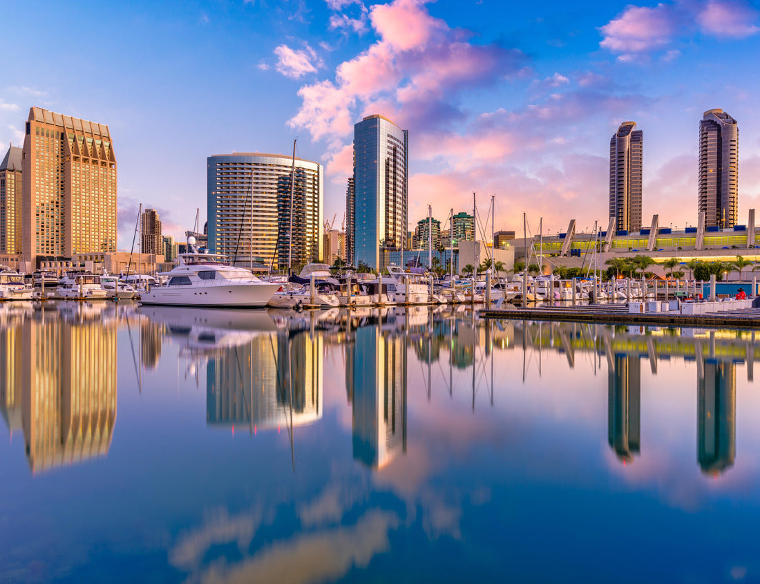 Noah Jigsaw Puzzle San Diego, California, USA Downtown city skyline 1000 Pieces