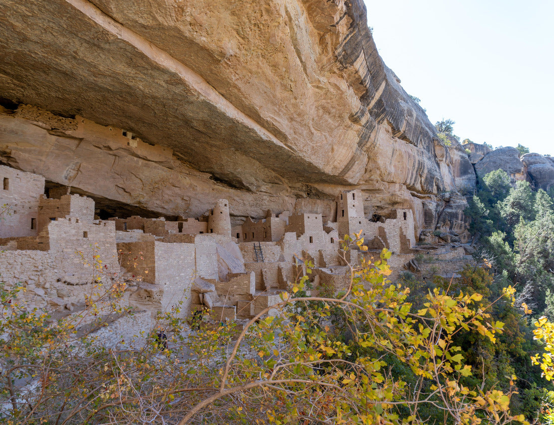 Noah Jigsaw Puzzle Cliff Palace in Mesa Verde National Park in Colorado protects the ancient sites of Pueblo. Cliff Palace is the largest and most famous cliff in the park 1000 Pieces