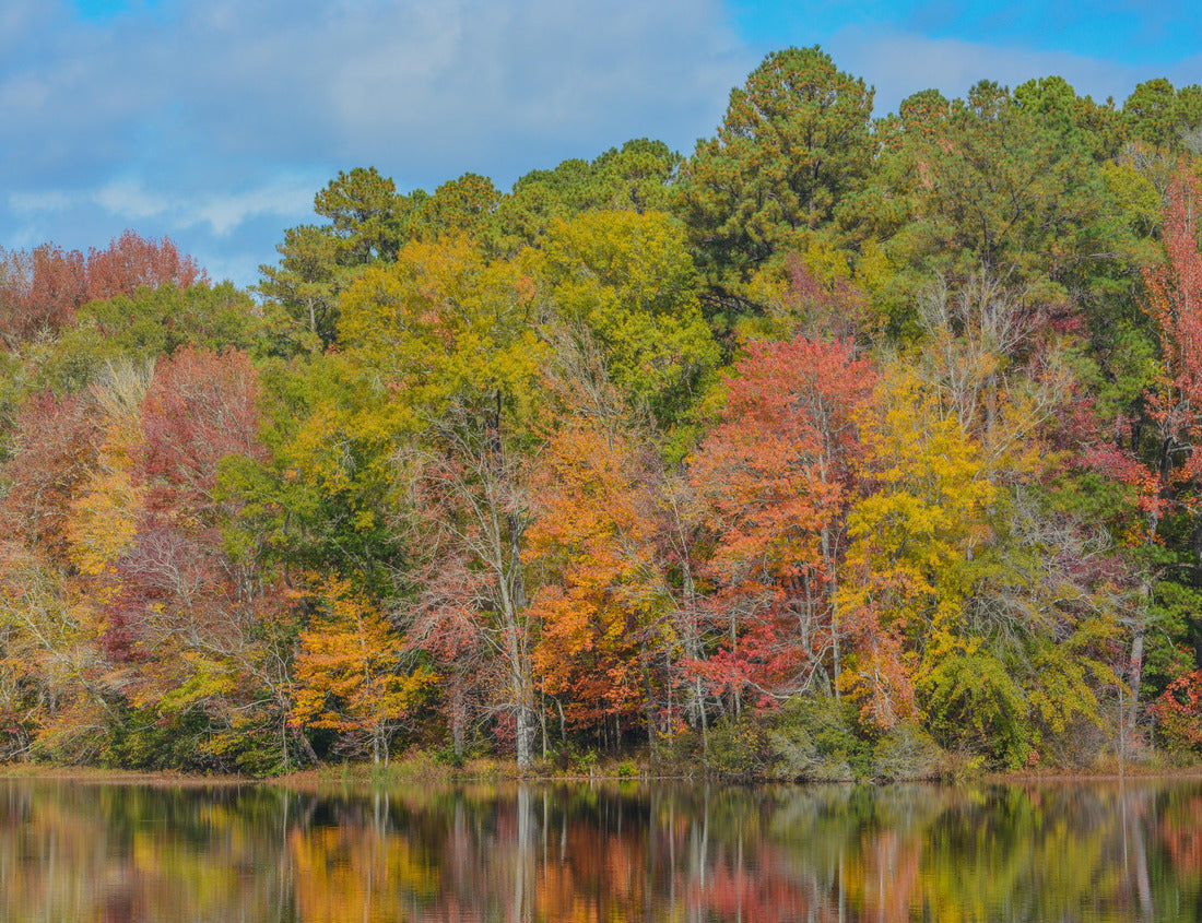 Noah Jigsaw Puzzle Beautiful Hamburg Lake in Hamburg State Park, Mitchell, Washington County, Georgia 1000 Pieces