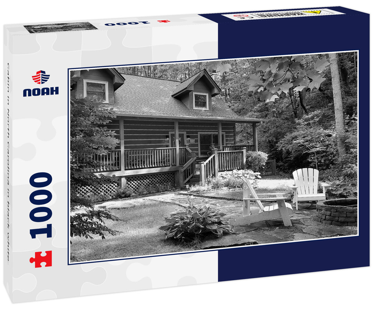 Cabin in North Carolina in black white