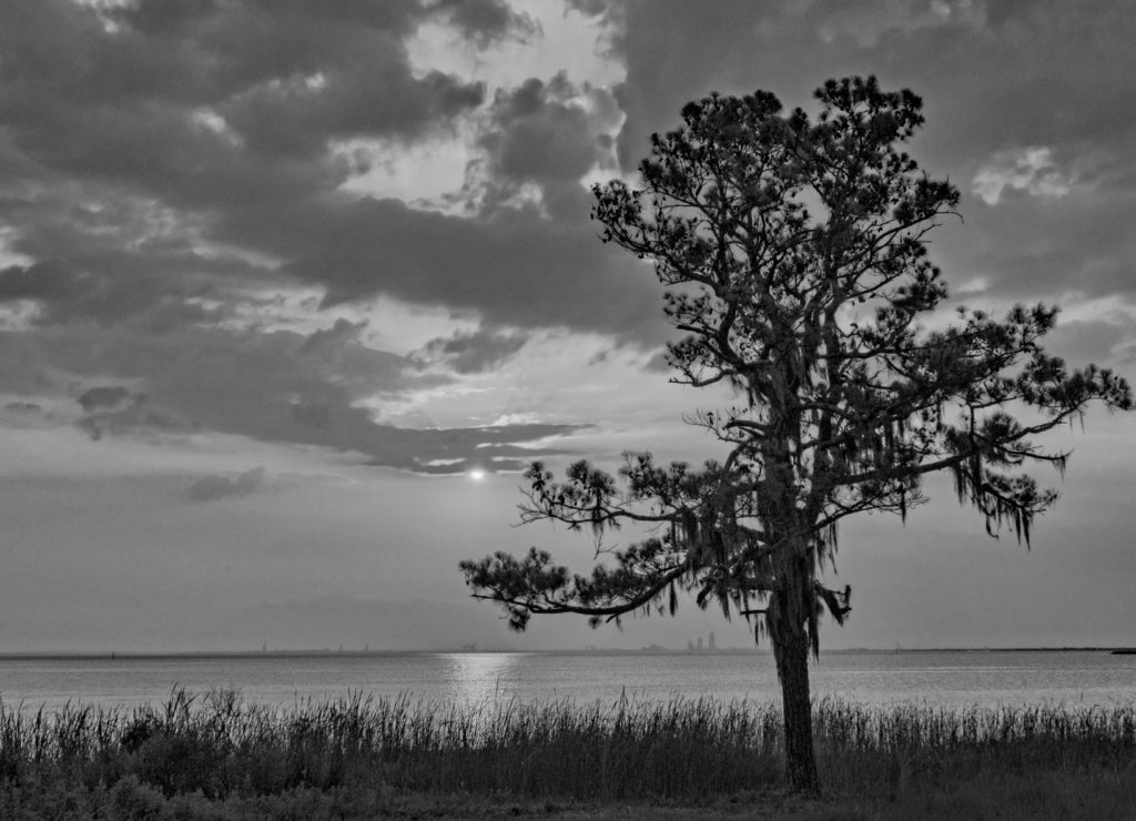 Sunset on Mobile Bay Alabama in black white