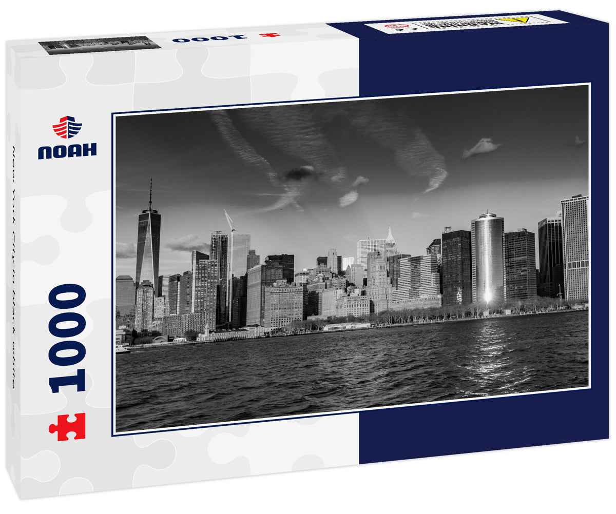 New York City in black white