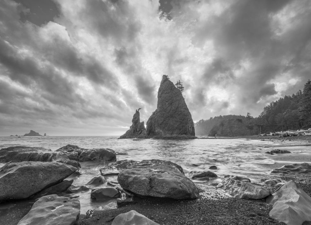 Olympic National Park, Washington, USA at Rialto Beach during sunset in black white