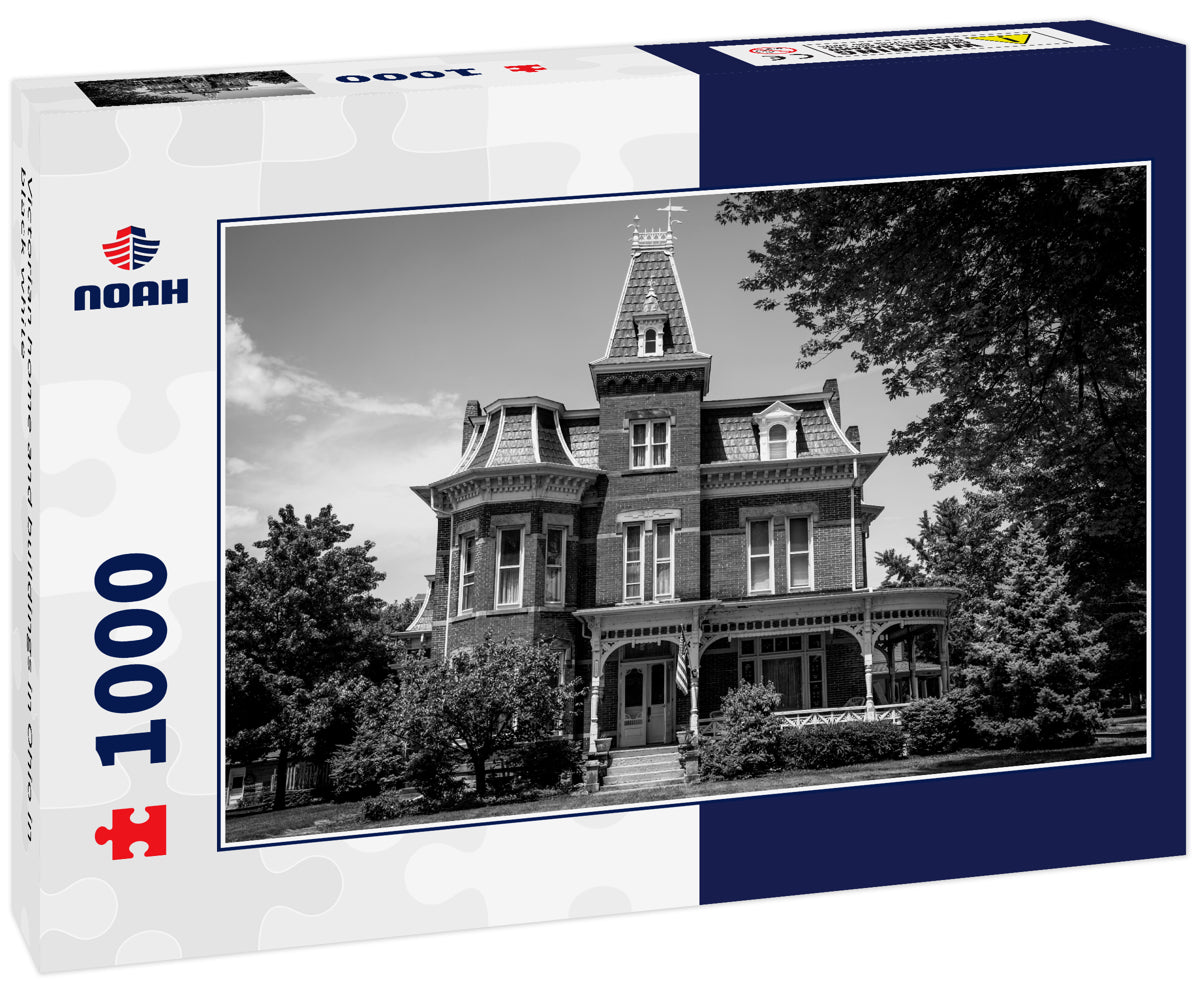 Victorian home and buildings in Ohio in black white