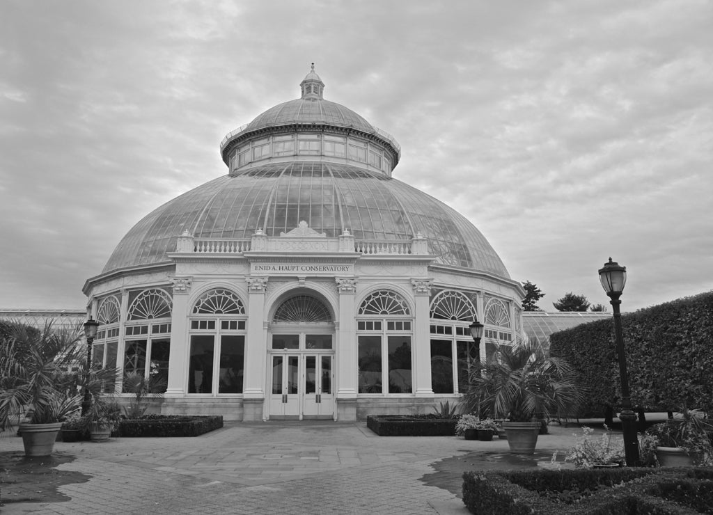 The Bronx, New York, USA: The Enid A. Haupt Conservatory (1902), a greenhouse in the New York Botanical Garden, was modeled after the Palm House at the Royal Botanic Garden at Kew, England in black white