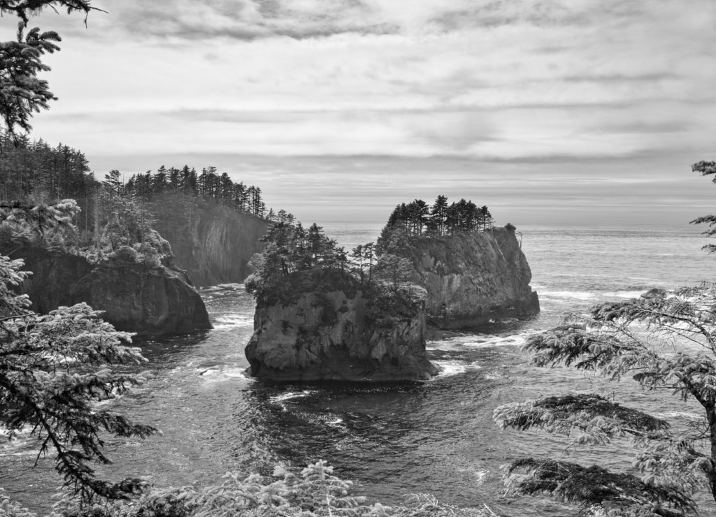Sea Stacks off of Cape Flattery, Makah Reservation, Olympic National Park, Washington, USA in black white