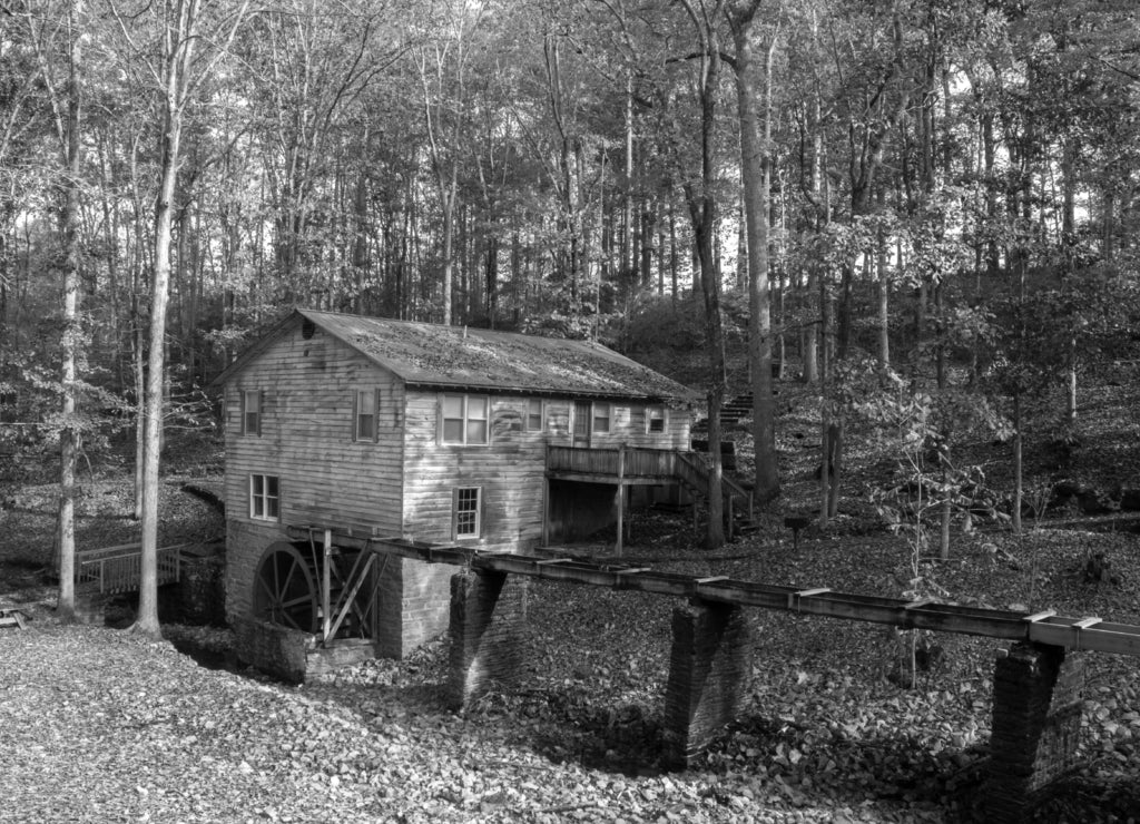 Old Alabama Wheel House in black white