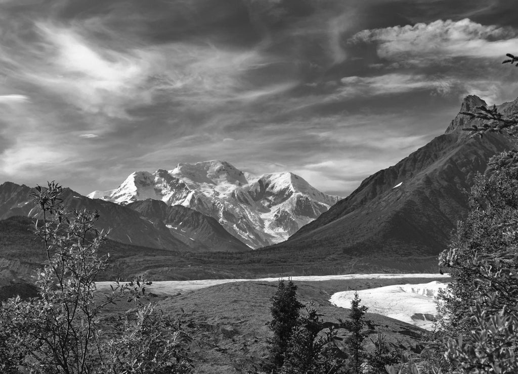 Root, Kennicott Glaciernear Kennicott Mine, Wrangell - St. Elias National Park, UNESCO World Heritage Site in black white