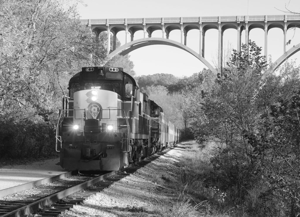 Train approaching below bridge over Ohio's Cuyahoga Valley in black white