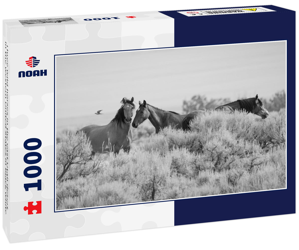 Three wild horses in the vast Utah desert in the western United States in black white