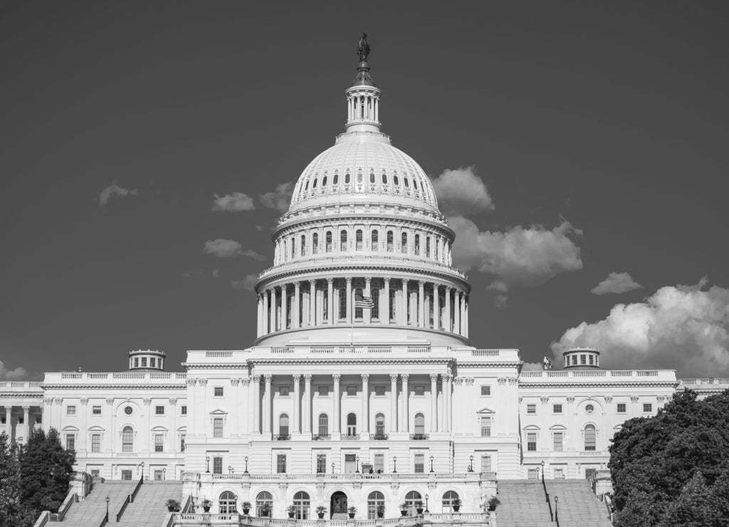 US Capitol Building in Washington, DC in black white