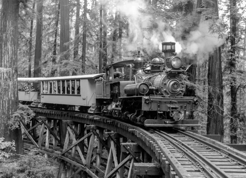 Steam train crossing an old trestle through redwood forest. Felton, Santa Cruz County, California, USA in black white